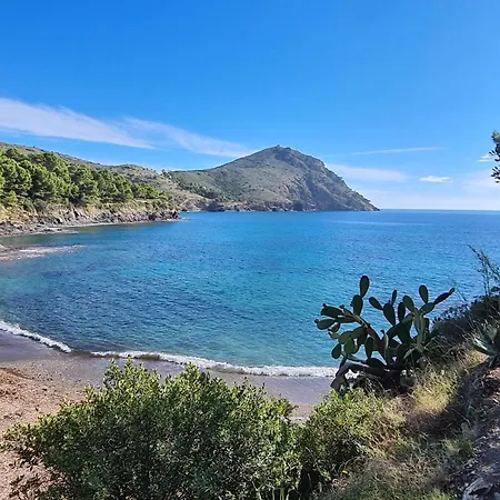 8002 - Torrinos 50, Casa Aislada De Todo Ruido, Con Fantastica Vista Al Mar, Gran Terreno De 100m2 Con Barbacoa, Rodeada De Vegetacion, Intimidad Asegurada. 2 Garajes. - Es-258-91 *